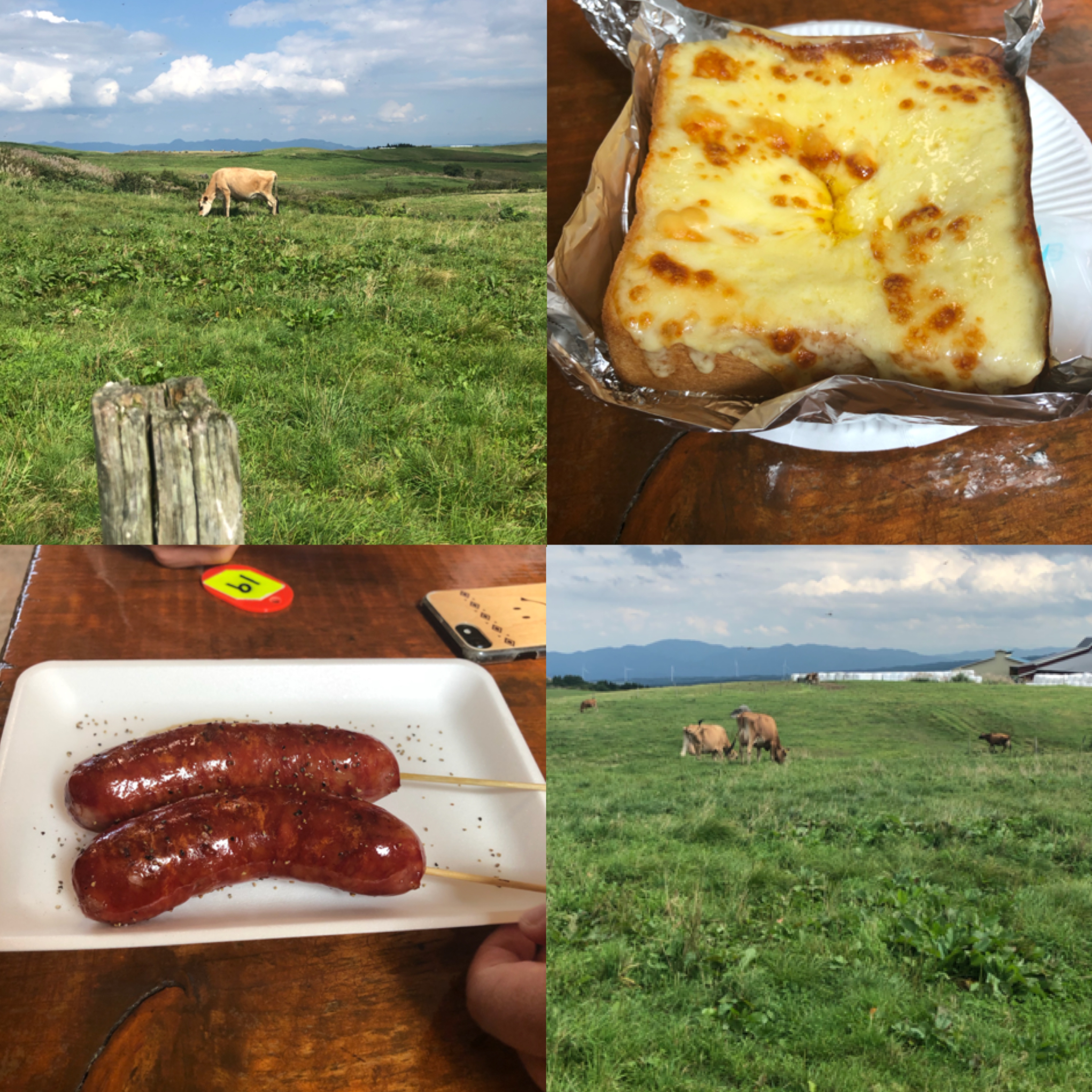土田 牧場